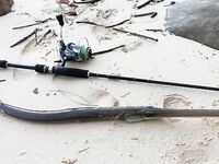 Пхи-Пхи: пляжная рыбалка по приливу и рифу