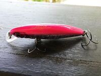 Пхи-Пхи: пляжная рыбалка по приливу и рифу