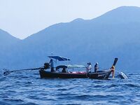 Ко-Липе: ежи под ногами, бомбарда и сарган на ужин