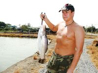 Паттайя: IT Monster, баррамунди и redtail в один день