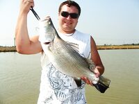 Паттайя: IT Monster, баррамунди и redtail в один день