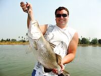 Паттайя: IT Monster, баррамунди и redtail в один день