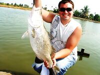 Паттайя: IT Monster, баррамунди и redtail в один день