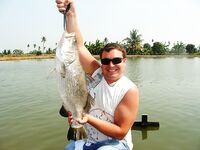 Паттайя: IT Monster, баррамунди и redtail в один день