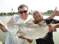 Паттайя: IT Monster, баррамунди и redtail в один день