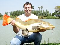 Паттайя: Озеро Монстров и тяжёлый день по трофею