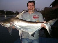 Паттайя: Озеро Монстров и тяжёлый день по трофею