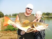 Паттайя: арапайма, араванна и темп без пауз