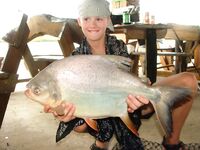 Паттайя: арапайма, араванна и темп без пауз