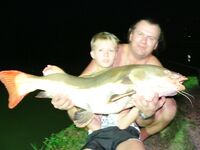 Паттайя: арапайма, араванна и темп без пауз