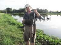 Паттайя: меконг, змееголов и джиг по баррамунди