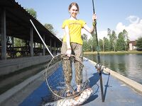 Паттайя: сомовый платник как он есть