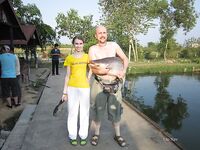 Паттайя: сомовый платник как он есть