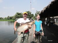 Паттайя: сомовый платник как он есть