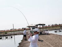 Паттайя: баррамунди на жарком пруду и злые первые рывки