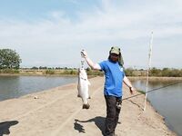 Паттайя: баррамунди на жарком пруду и злые первые рывки
