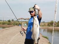 Паттайя: баррамунди на жарком пруду и злые первые рывки