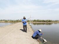 Паттайя: баррамунди на жарком пруду и злые первые рывки