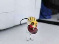 Паттайя: баррамунди на жарком пруду и злые первые рывки