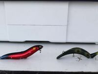 Паттайя: баррамунди на жарком пруду и злые первые рывки