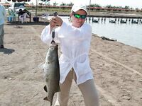 Паттайя: баррамунди на жарком пруду и злые первые рывки