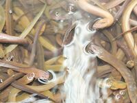 Паттайя: укачка, утренний порт и пустой морской выход