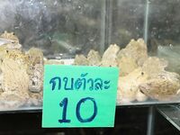 Паттайя: укачка, утренний порт и пустой морской выход