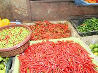 Паттайя: укачка, утренний порт и пустой морской выход