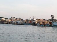 Паттайя: укачка, утренний порт и пустой морской выход