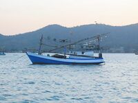 Паттайя: укачка, утренний порт и пустой морской выход