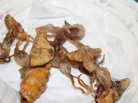 Паттайя: укачка, утренний порт и пустой морской выход