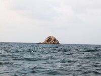 Паттайя: укачка, утренний порт и пустой морской выход