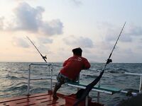 Паттайя: укачка, утренний порт и пустой морской выход