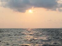 Паттайя: укачка, утренний порт и пустой морской выход