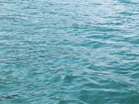 Паттайя: укачка, утренний порт и пустой морской выход