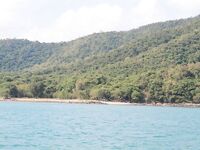 Паттайя: укачка, утренний порт и пустой морской выход