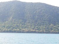 Паттайя: укачка, утренний порт и пустой морской выход