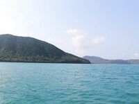 Паттайя: укачка, утренний порт и пустой морской выход