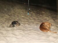 Паттайя: укачка, утренний порт и пустой морской выход