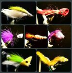 Паттайя: крупные попперы, стримеры и короткий платник