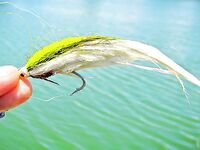 Паттайя: крупные попперы, стримеры и короткий платник