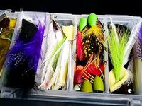 Паттайя: крупные попперы, стримеры и короткий платник