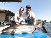 Паттайя: тяжёлый комплект и сом на коротком платнике