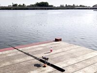 Паттайя: тяжёлый комплект и сом на коротком платнике