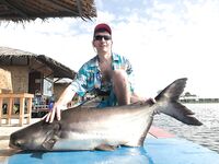 Паттайя: тяжёлый комплект и сом на коротком платнике