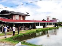 Паттайя: один баррамунди, сходы и Пилот на праздниках