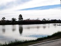 Паттайя: один баррамунди, сходы и Пилот на праздниках