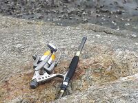 Патонг: рапан, мидия и вечерняя попытка по кальмару