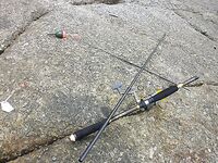 Патонг: рапан, мидия и вечерняя попытка по кальмару