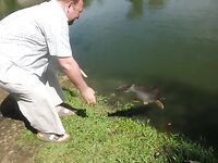 Патонг: рапан, мидия и вечерняя попытка по кальмару